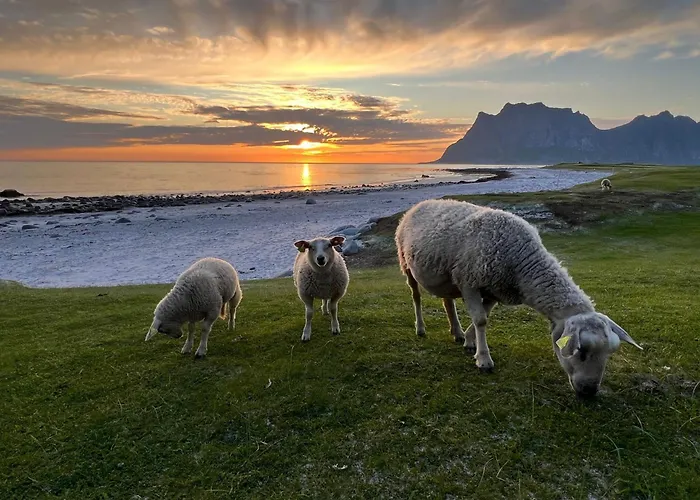度假居 Fisherman's Cabin, Lofoten - 26 Ivarbua 巴尔斯塔