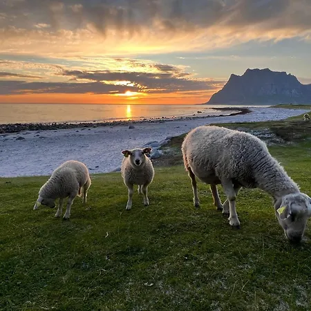 بيت للعطل Fisherman's Cabin, Lofoten - 26 Ivarbua بولستاد